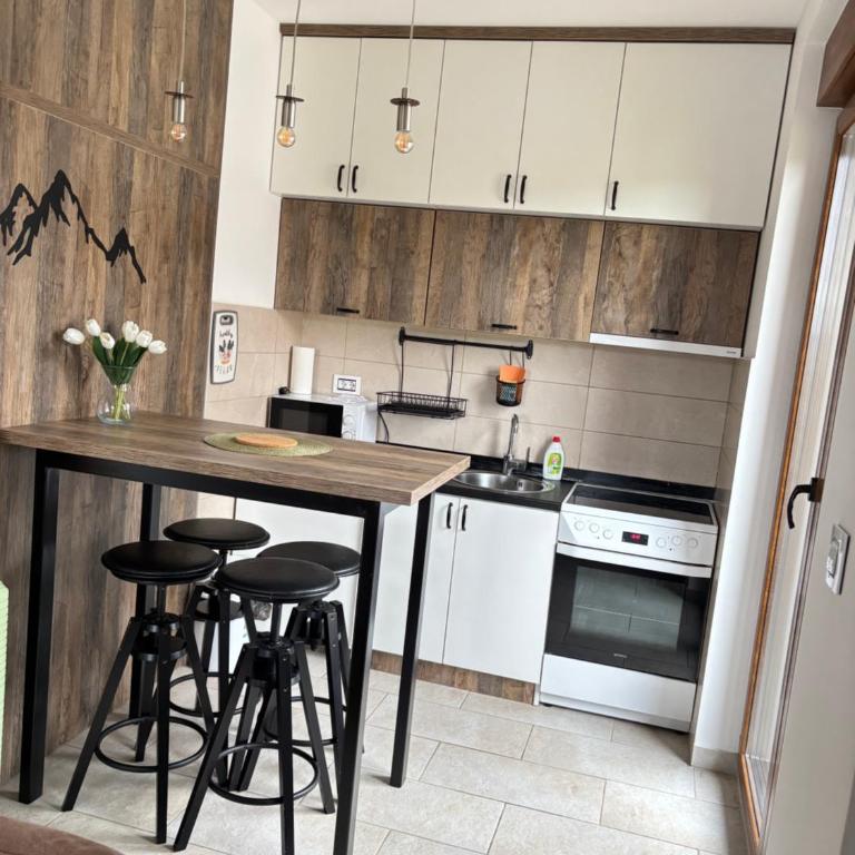 Apartman Tajmles Wellnes & Spa - Apartman sa 1 Spavaćom Sobom - 10