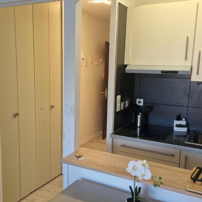 Charmant studio 3 étoiles au cœur de la ville Dax - Appartement 1 Chambre - 9