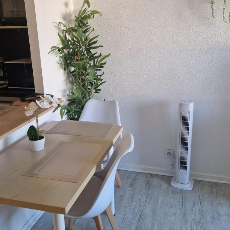Charmant studio 3 étoiles au cœur de la ville Dax - Appartement 1 Chambre - 8