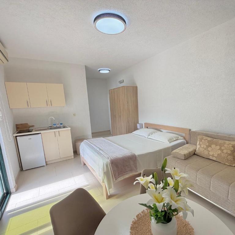 Apartments Lj - Studio - 1