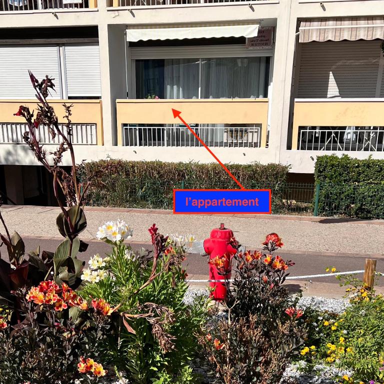 LE PANORAMIC -SUPERBE T2 Face aux thermes- - Appartement 1 Chambre - 15