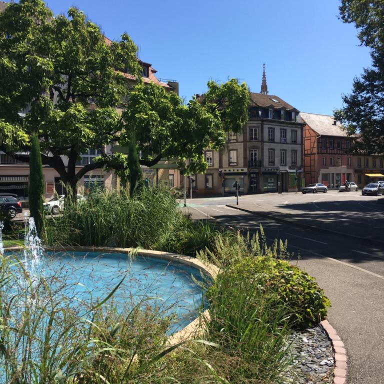 Les Hauts de Colmar - Appartamento con 2 Camere da Letto - 17