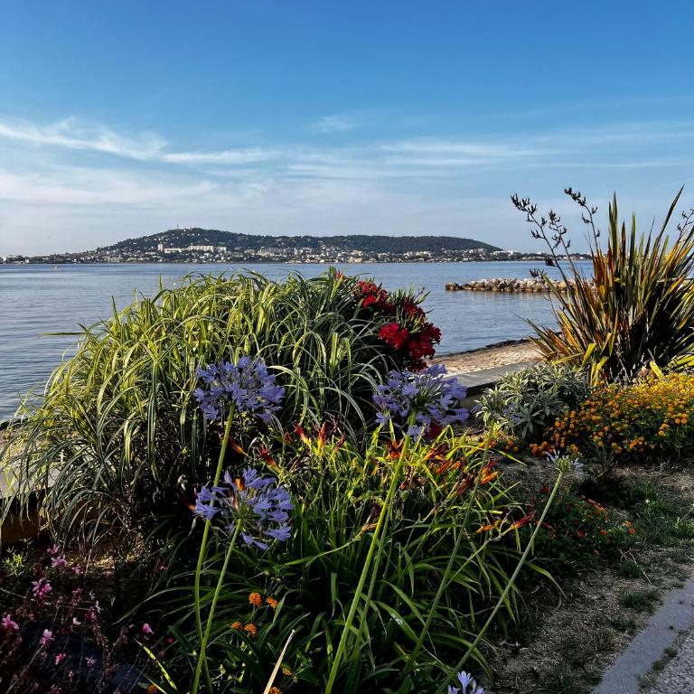 LE PANORAMIC -SUPERBE T2 Face aux thermes- - Appartement 1 Chambre - 17