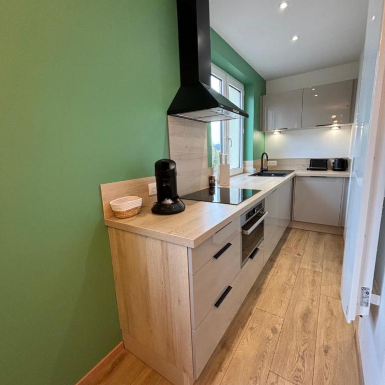 Écrin au bord du lac avec parking privé - Appartement 1 Chambre - 2