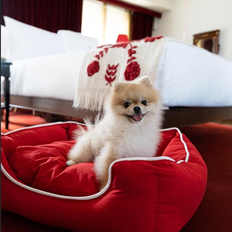 Faena LLC - Suite Presidencial - 16