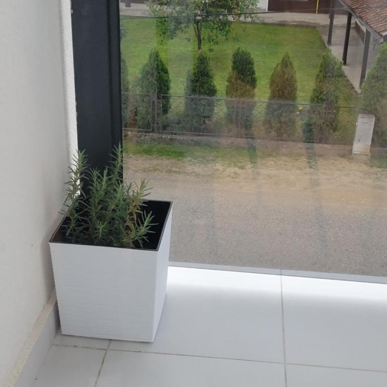 Apartman Iris - Apartman sa 1 Spavaćom Sobom - 3