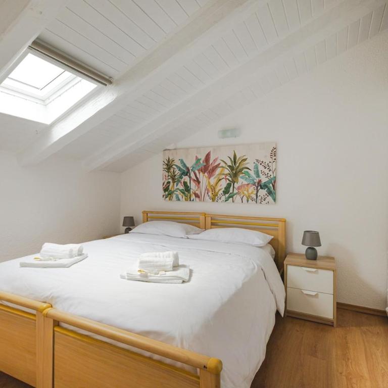 Free Parking City Center Borgo Teresiano loft - Appartamento con 2 Camere da Letto - 5