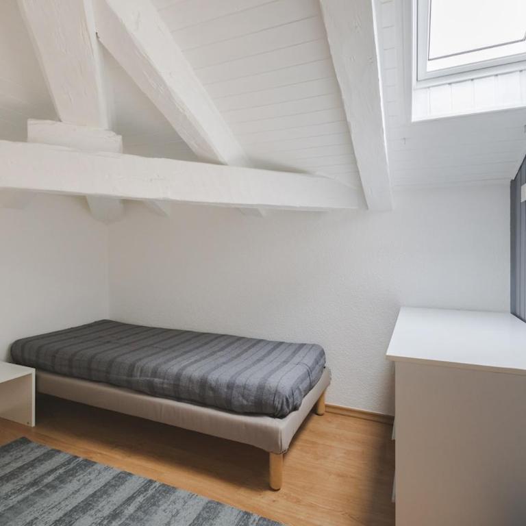 Free Parking City Center Borgo Teresiano loft - Appartamento con 2 Camere da Letto - 20