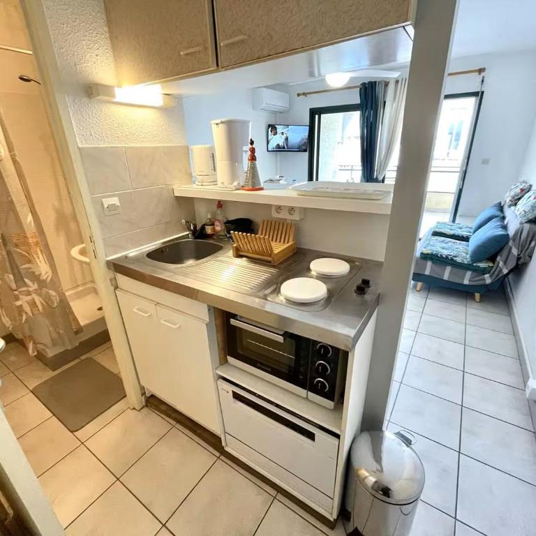 Appartement T2 climatisé, 100m de la plage - Le Laurier - Appartement 1 Chambre - 12