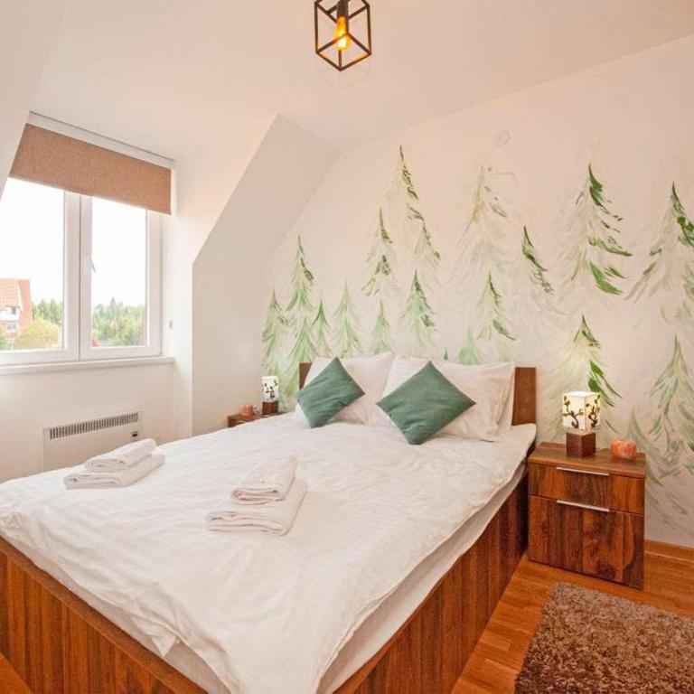 Alpenglow Kopaonik - Luxury Apartment in Kraljevi Čardaci - Apartman sa 1 Spavaćom Sobom - 5