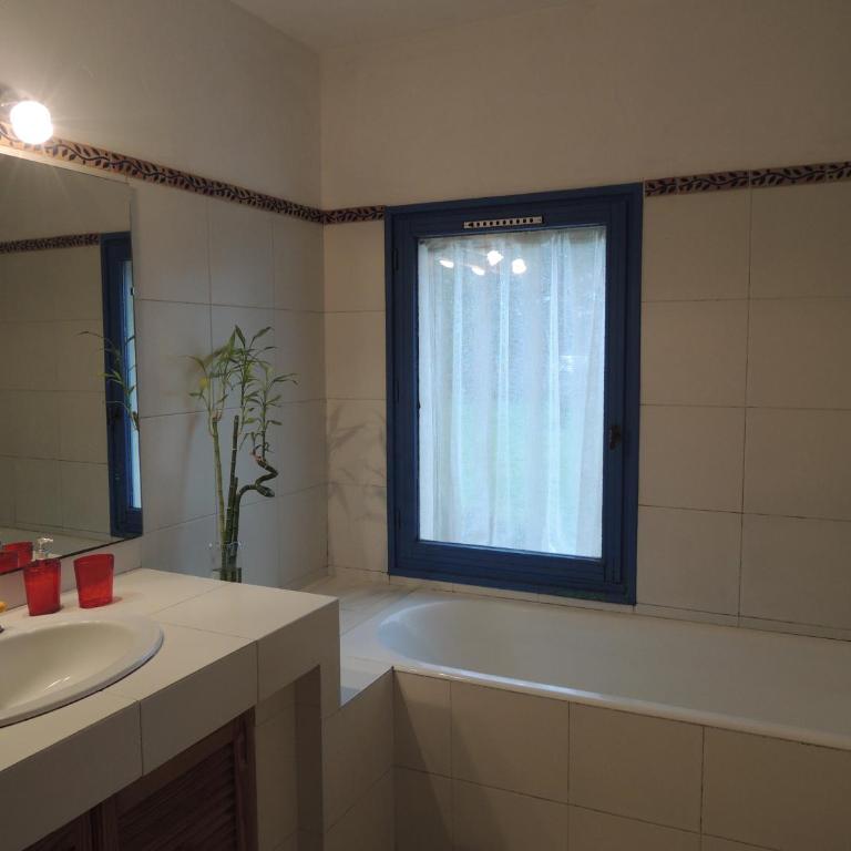 Maison en bord de Sorgue avec piscine et grand jardin arboré - Villa - 9