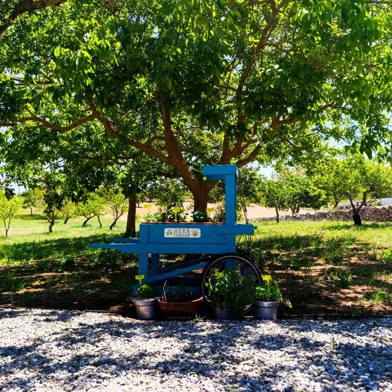 Valle d'Itria IN - Villa con 2 Camere da Letto - 7