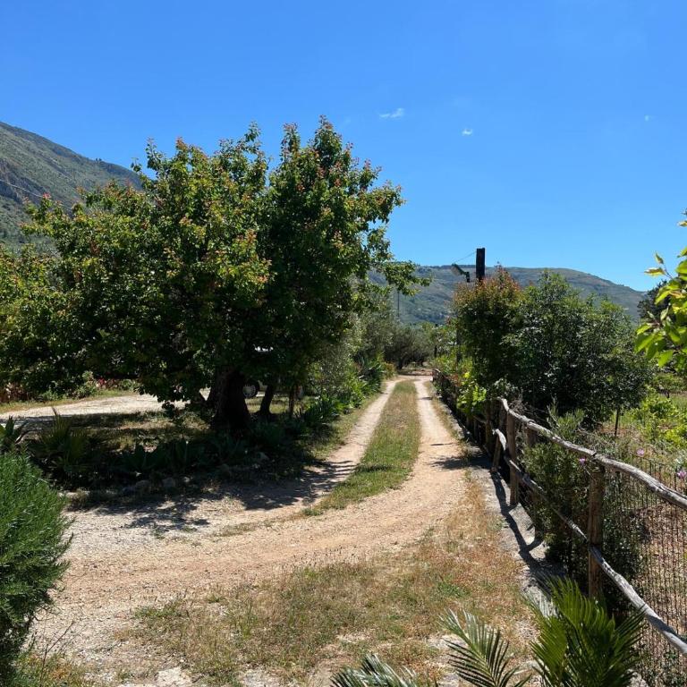 Casa degli Ulivi 21 - Appartamento - 17