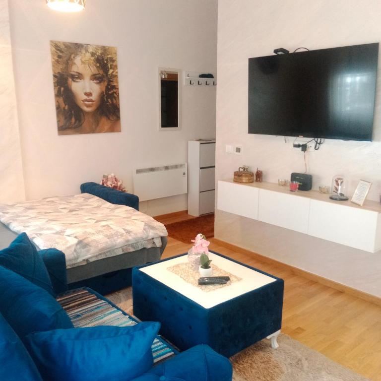 Kraljica Spa - Apartman sa 1 Spavaćom Sobom - 4