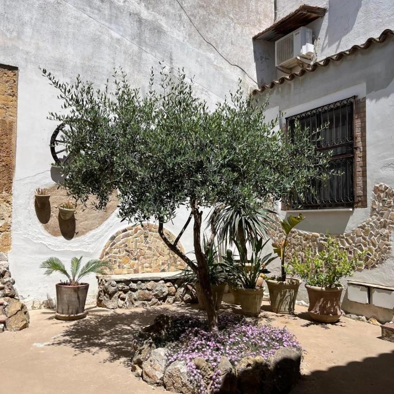 Casa degli Ulivi 21 - Appartamento - 25