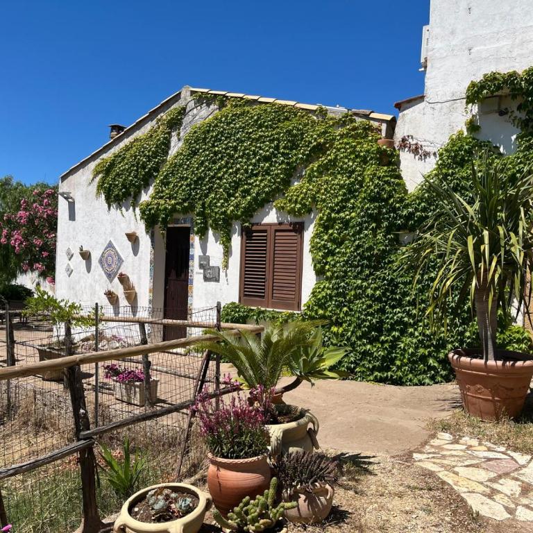 Casa degli Ulivi 21 - Appartamento - 29