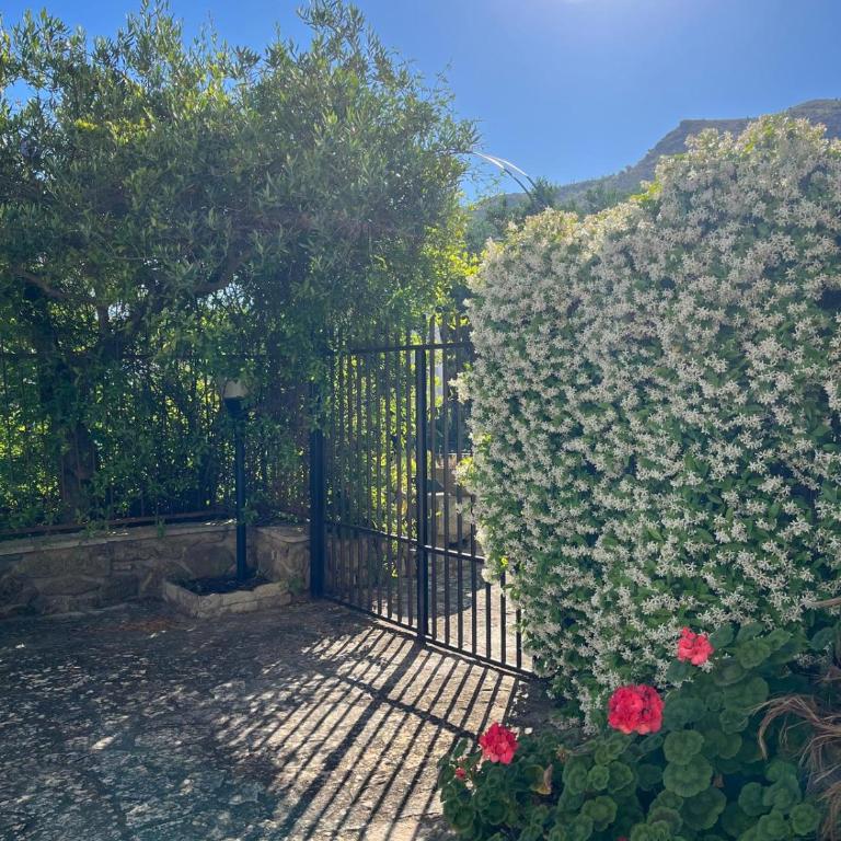 Casa degli Ulivi 21 - Appartamento - 32