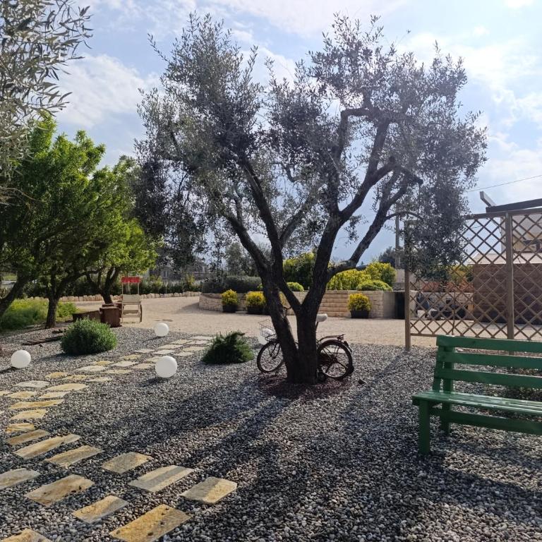 Valle d'Itria IN - Villa con 2 Camere da Letto - 3