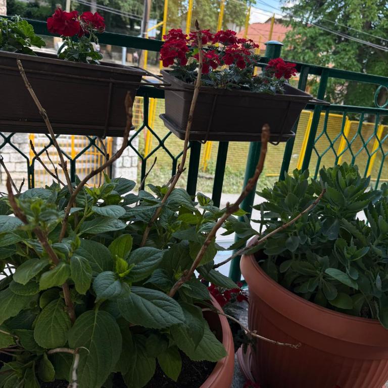 Apartman Kasumovic Old Town, Top Location, New - Apartman sa 1 Spavaćom Sobom - 11