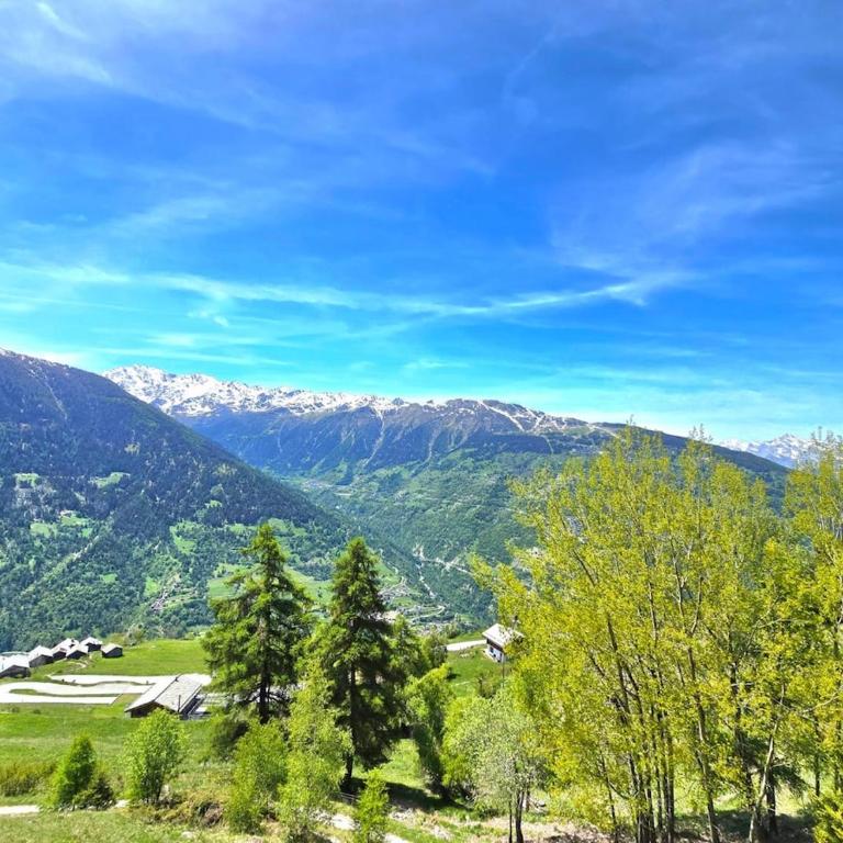 Chez Grani & Fatou Chalet avec vue et soleil - Chalet mit 3 Schlafzimmern - 17