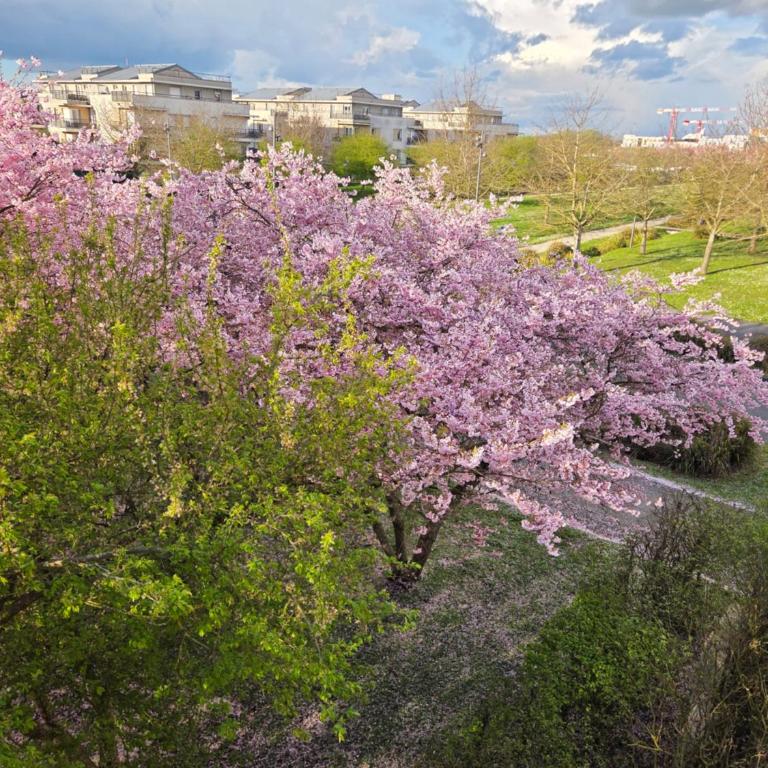 DreamLand Paris - cozy apartment 10 min away from Disneyland - Apartamento de 2 dormitorios - 15