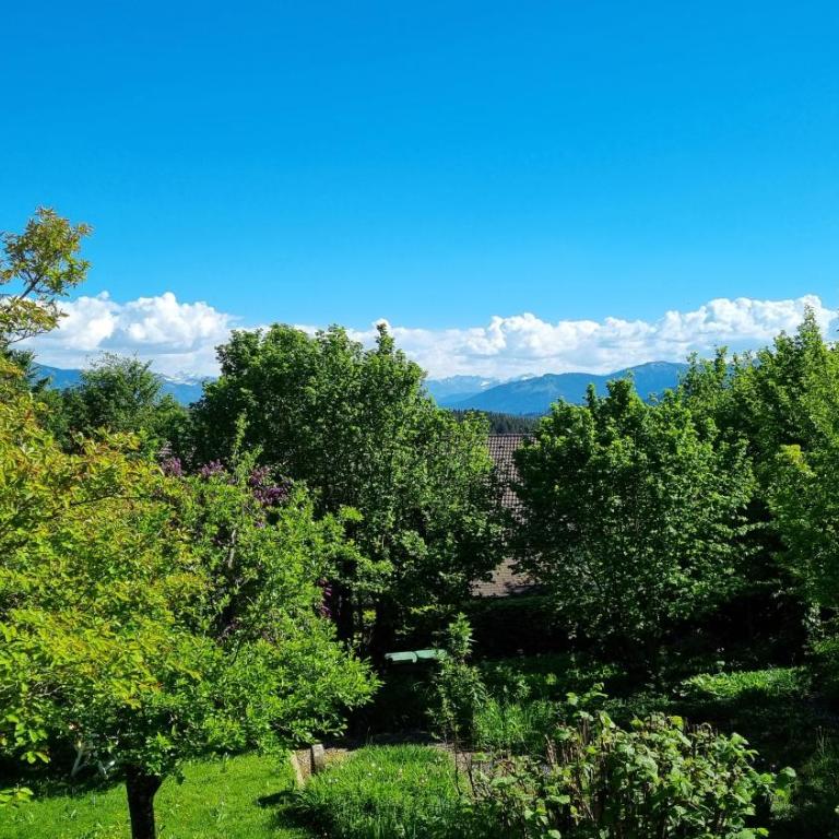 Richters Alpen Appartement - Apartment mit 2 Schlafzimmern - 26