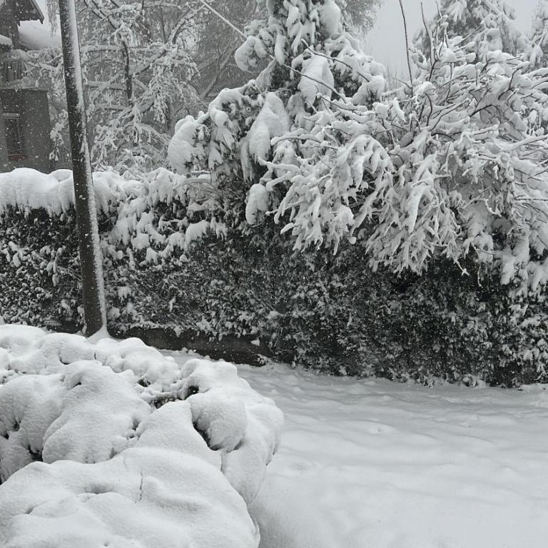 Kuća za izdavanje - Kuća sa 2 Spavaće Sobe - 2