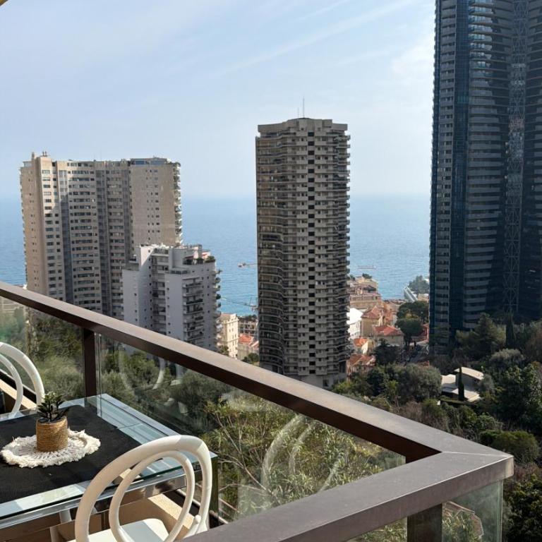 2 p BEAUSOLEIL near MONACO piscine sea view parking - Appartement - 10