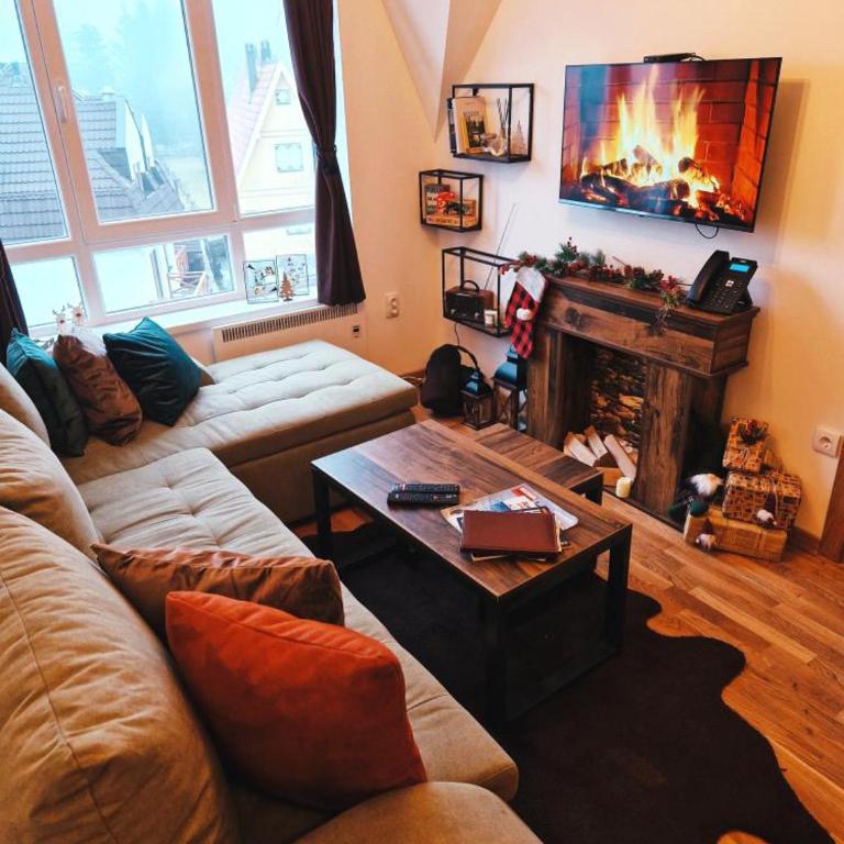 Alpenglow Kopaonik - One-Bedroom Apartment - 6