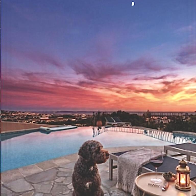 Villa Belvédère Cannes - Panoramique 180 - Villa con Piscina Privata - 4