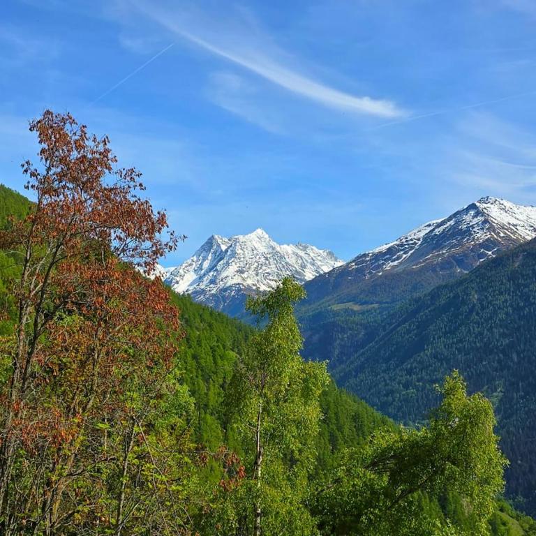 Chalet Chouc per le avec terrasses et vue - Chalet - 18