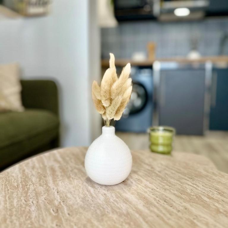 Le Sernin - Hyper Centre - WiFi - Cosy - Tout à pied - Appartement 2 Chambres - 17
