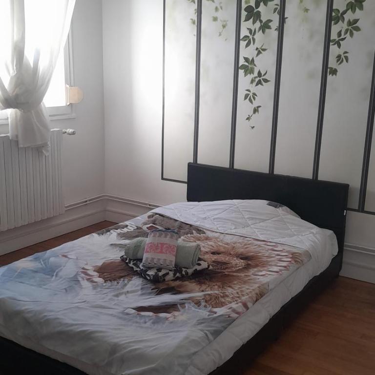 Maison 1 Conviviale amiens - One-Bedroom Apartment - 1