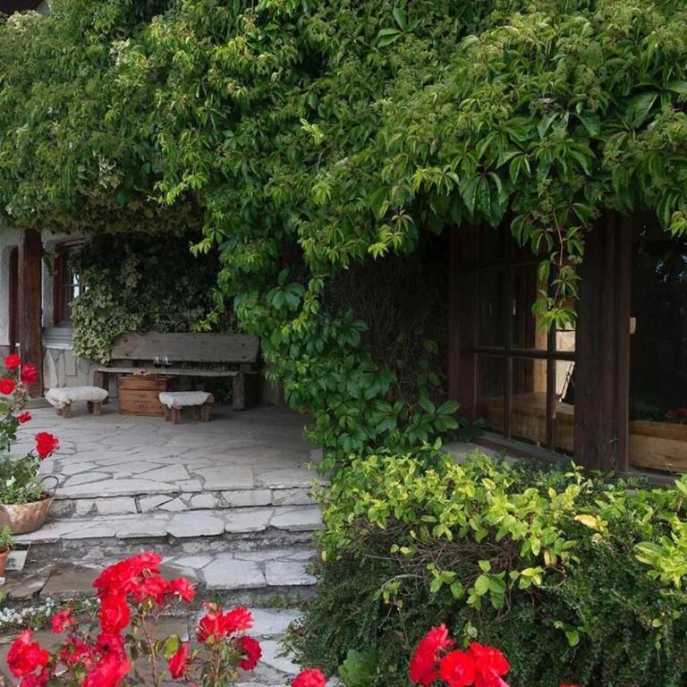Gran Casa Alpina - Casa de 6 dormitorios - 14