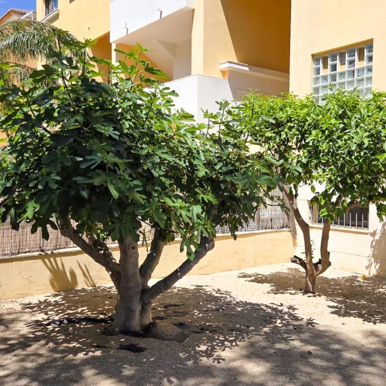 Lujoso Triplex Residencial Azahares by costablancarent - Suite Familiale Deluxe - 21