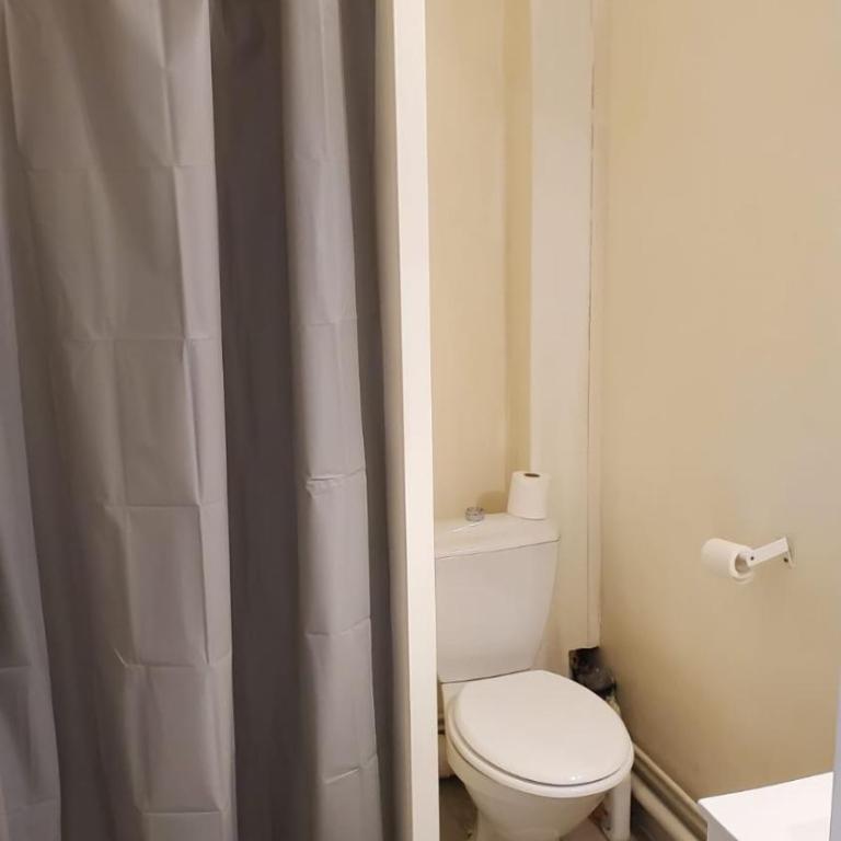Le Cocon Volcanique - Studio in central Clermont - Appartement 1 Chambre - 14