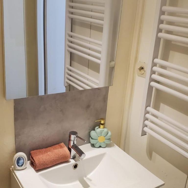 Le Cocon Volcanique - Studio in central Clermont - Appartement 1 Chambre - 13