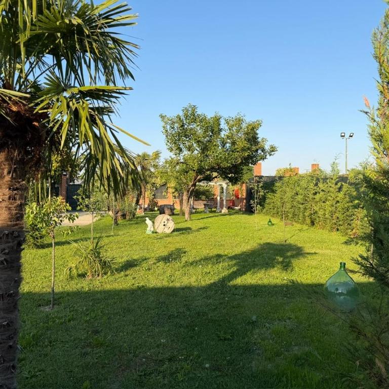 Mambo House - Appartamento con 1 Camera da Letto - 22