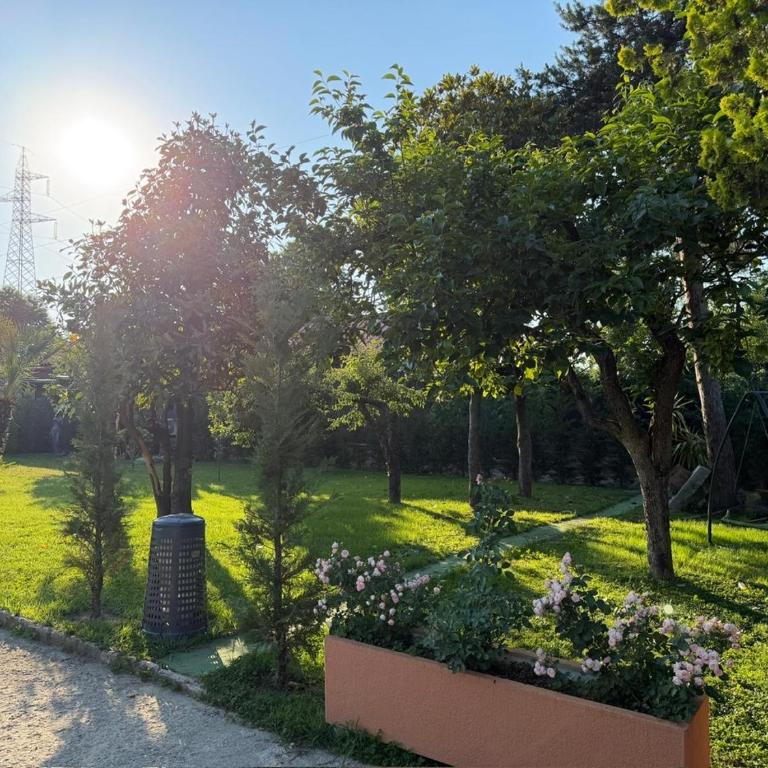 Mambo House - Appartamento con 1 Camera da Letto - 23