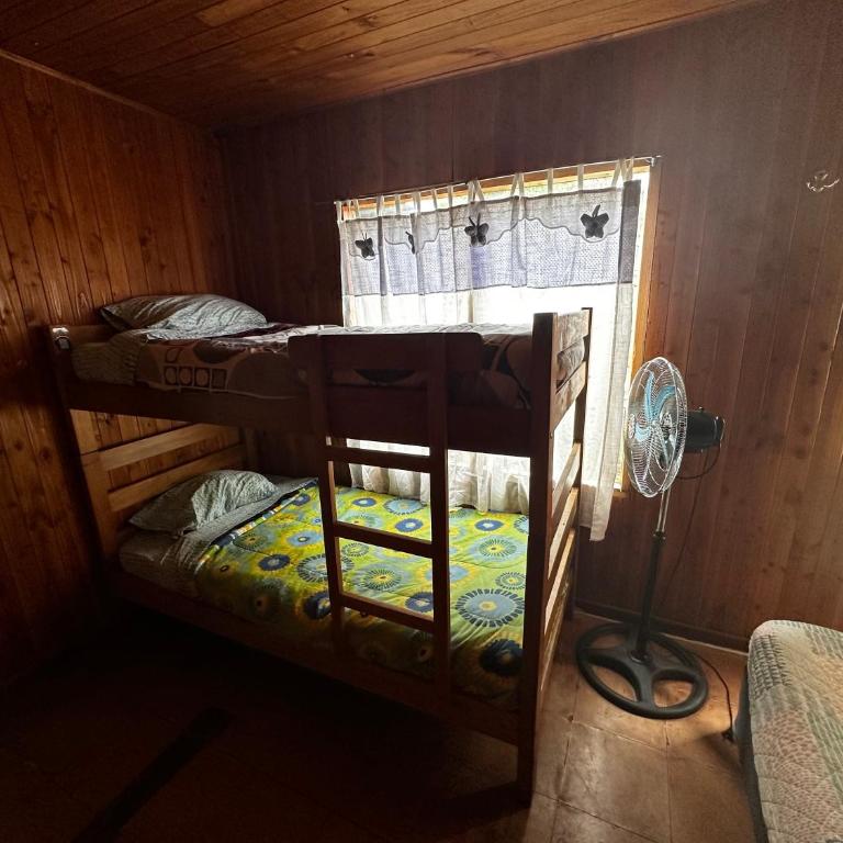 Hostal Palguin 261 - Cama individual en habitación compartida - 11