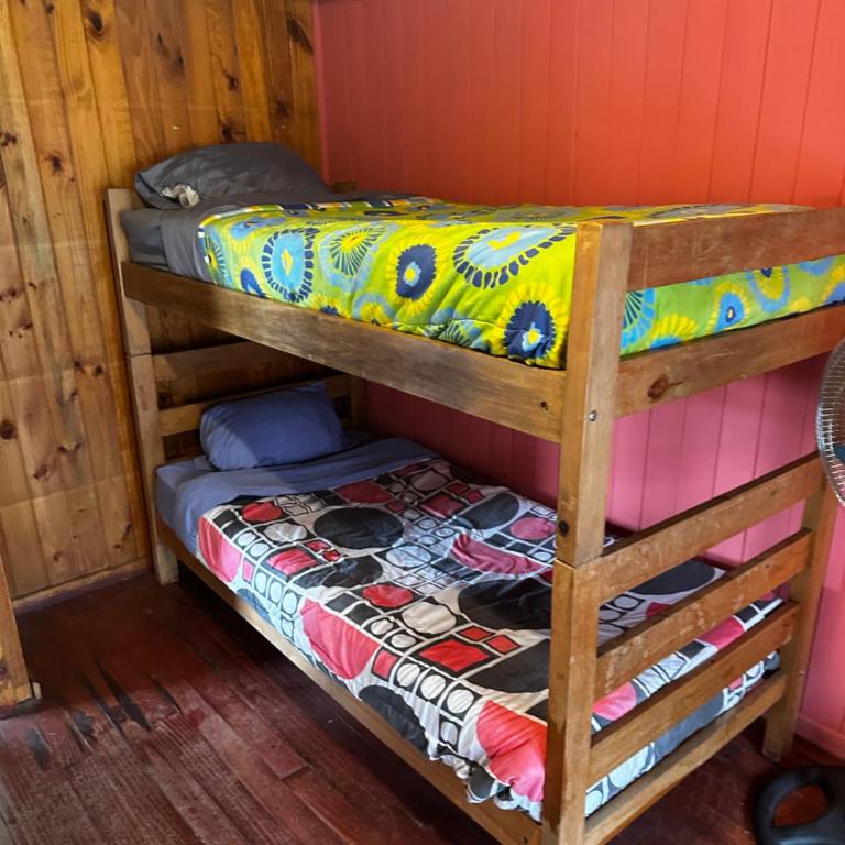 Hostal Palguin 261 - Cama individual en habitación compartida - 2