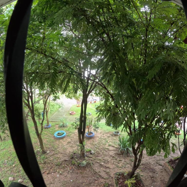 nuevo apartamento central villavicencio - Apartamento de 2 dormitorios - 20