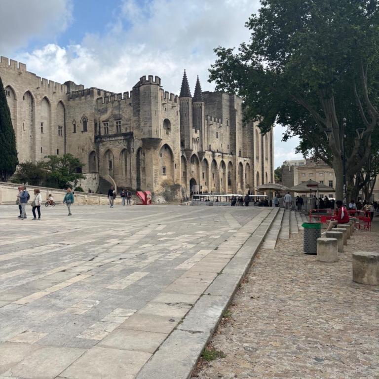 appartement à100m palais des papes - Appartamento con 1 Camera da Letto - 1