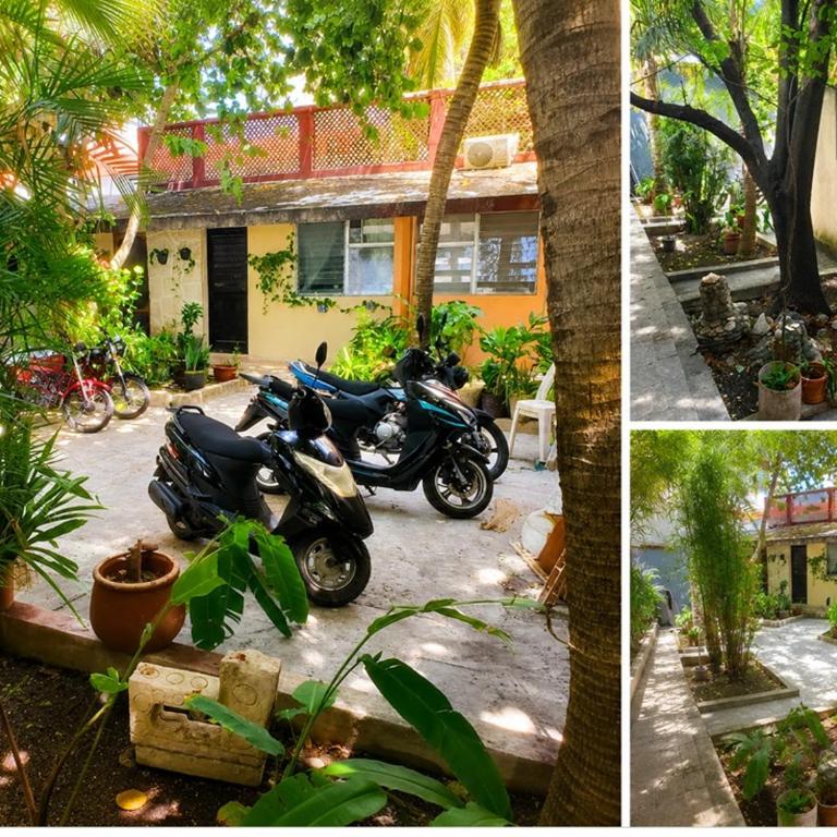 COZUMEL Centro PARADISIACO - Apartamento de 1 dormitorio - 11