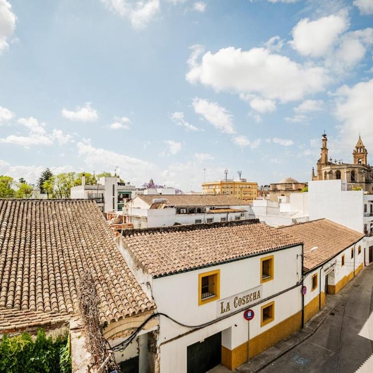 Spacious house in Santiago - Between wines and flamenco - Maison 4 Chambres - 20
