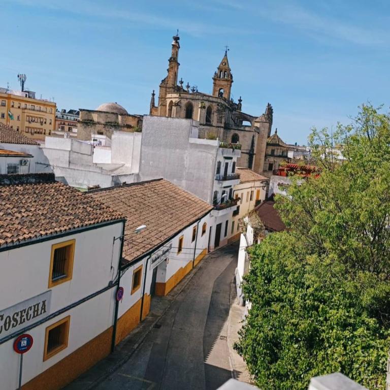 Spacious house in Santiago - Between wines and flamenco - Maison 4 Chambres - 1