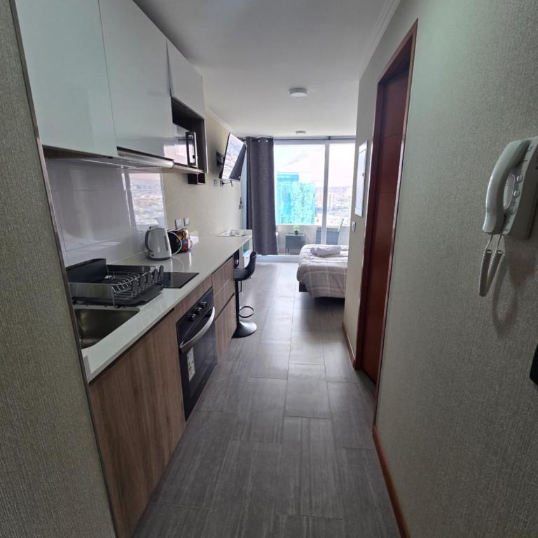 PENINSULA DE CAVANCHA, Vista ESPECTACULAR - Apartamento de 1 dormitorio - 2
