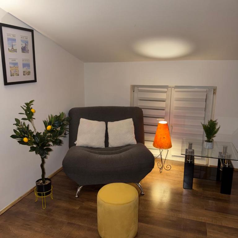 Apartment Angela Zemun 2 - One-Bedroom Apartment - 4