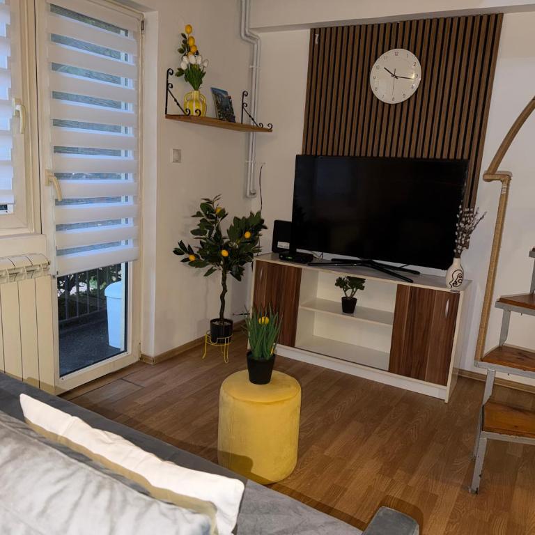 Apartment Angela Zemun 2 - One-Bedroom Apartment - 8