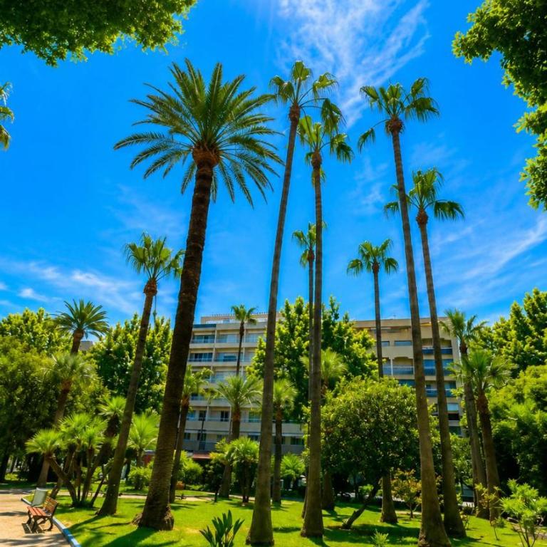 Riviera Beach Juan les Pins 300m plage avec terrasse - Appartement 1 Chambre - 23